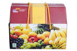 水(shuǐ)果包裝禮盒 帶金(jīn)黃(huáng)色提手繩子(zǐ)，采用(yòng)彩色印刷新鮮水(shuǐ)果圖案，裱加強瓦楞紙(zhǐ)，兩側帶透氣孔